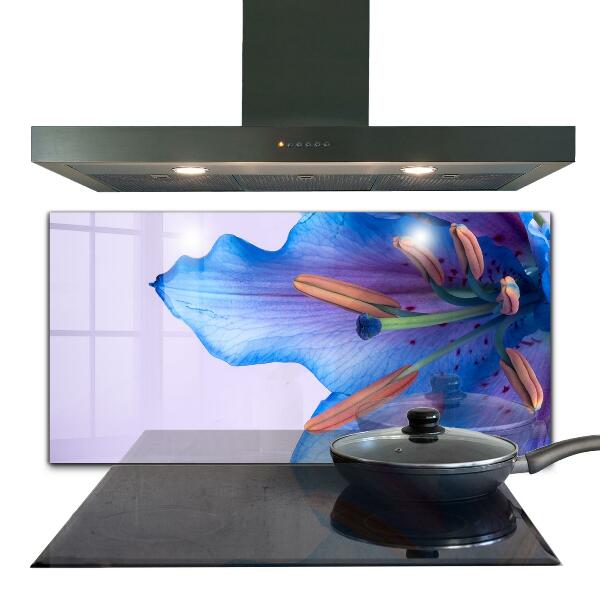 Keuken achterwand glas Prachtige blauwe lelie