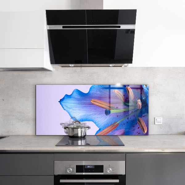 Keuken achterwand glas Prachtige blauwe lelie