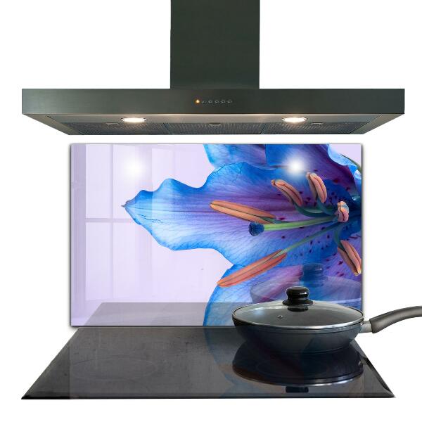 Keuken achterwand glas Prachtige blauwe lelie