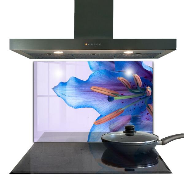 Keuken achterwand glas Prachtige blauwe lelie