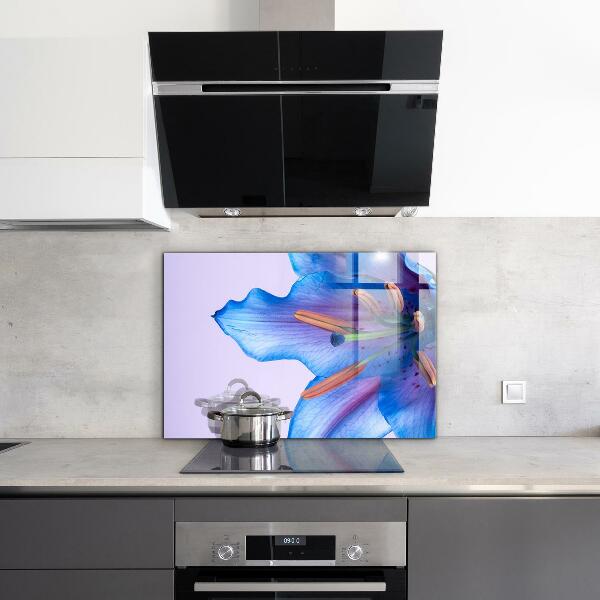 Keuken achterwand glas Prachtige blauwe lelie