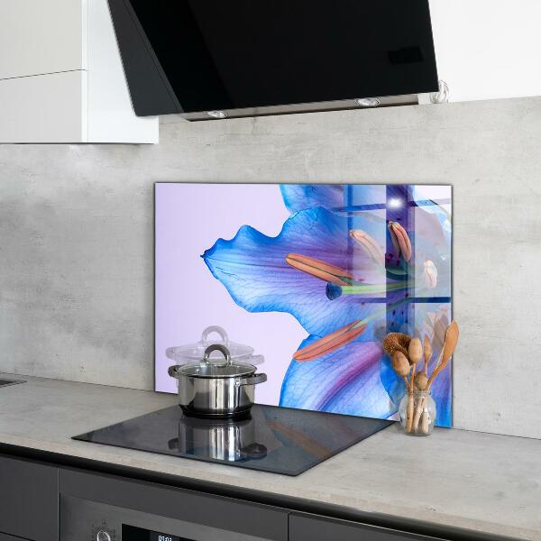 Keuken achterwand glas Prachtige blauwe lelie