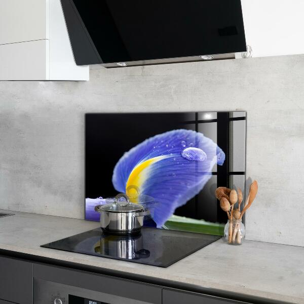 Foto achterwand keuken Paarse irisbloem