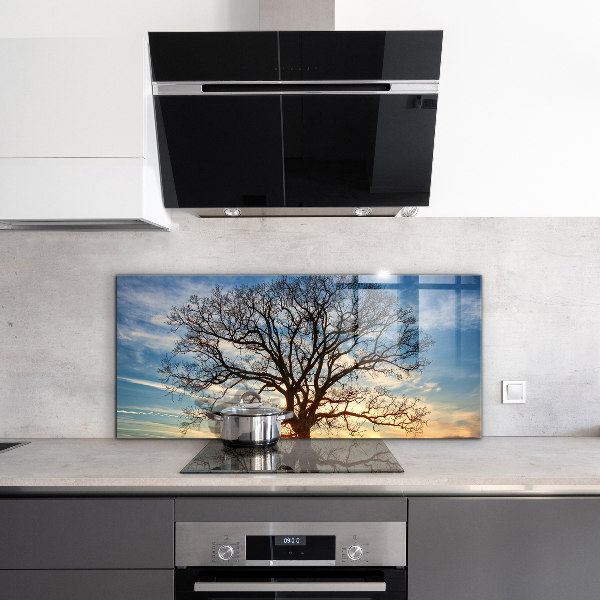 Foto achterwand keuken Landschapsweide in de ochtend