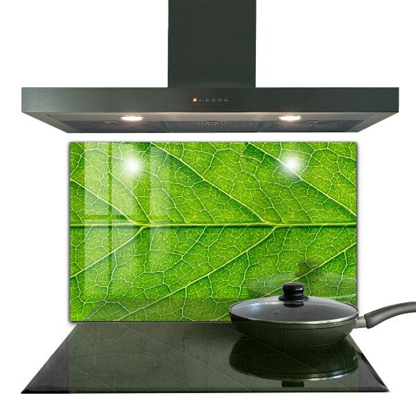 Achterwand keuken Fijne bladdetails