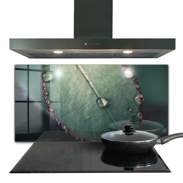 Foto achterwand keuken Blad met een dauwdruppel