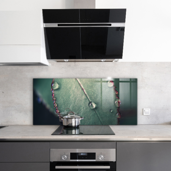 Foto achterwand keuken Blad met een dauwdruppel