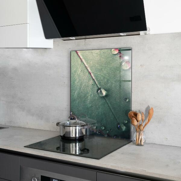 Foto achterwand keuken Blad met een dauwdruppel