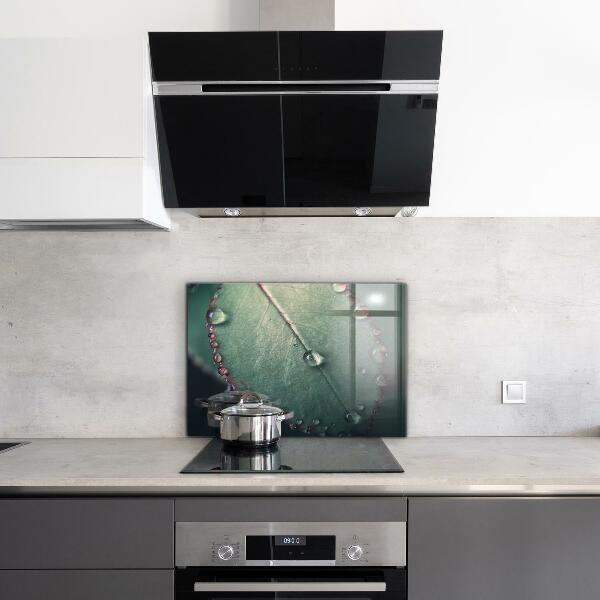 Foto achterwand keuken Blad met een dauwdruppel