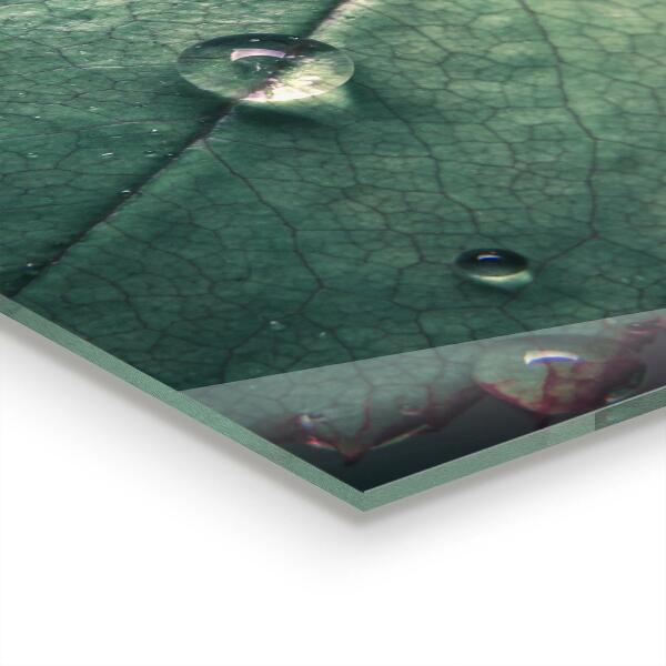 Foto achterwand keuken Blad met een dauwdruppel