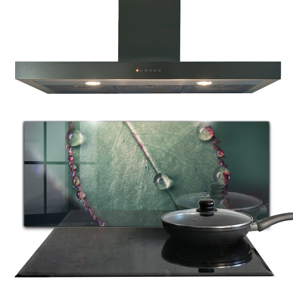 Foto achterwand keuken Blad met een dauwdruppel