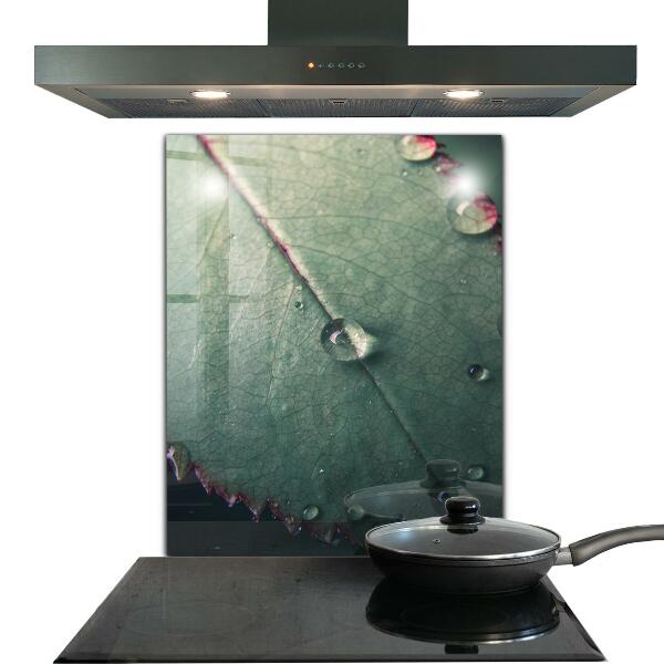 Foto achterwand keuken Blad met een dauwdruppel