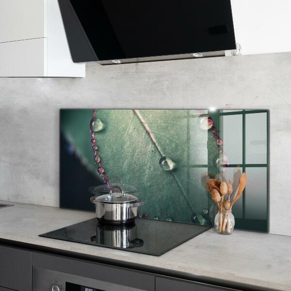 Foto achterwand keuken Blad met een dauwdruppel