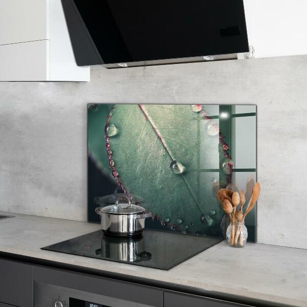 Foto achterwand keuken Blad met een dauwdruppel