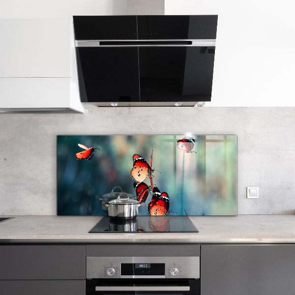 Spatscherm keuken glas Kwetsbare vlinder in de wind