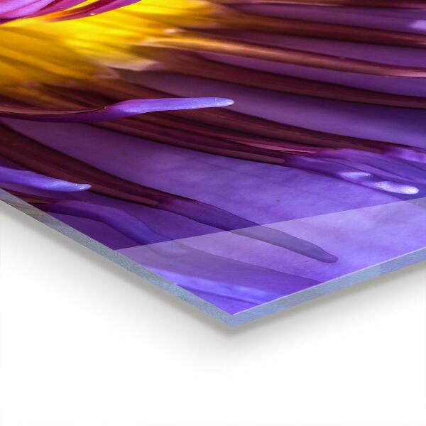 Spatscherm keuken glas Details van de paarse bloem