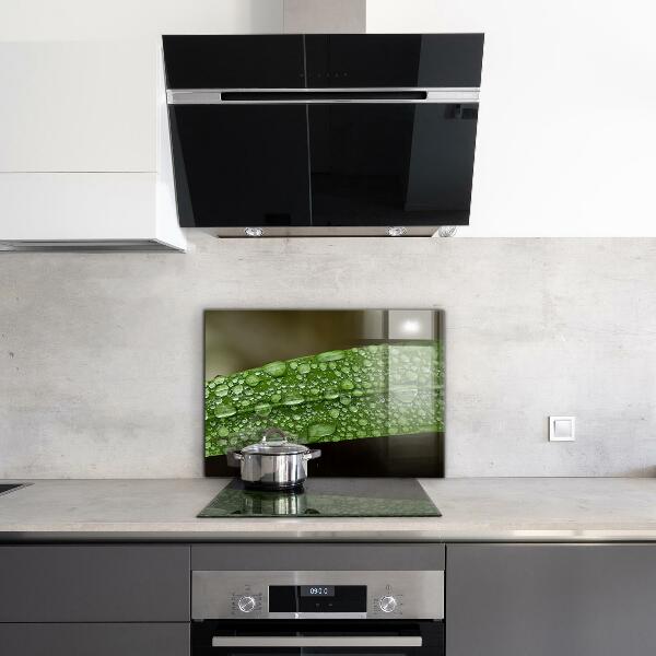 Keuken achterwand glas Een groen blad na de regen