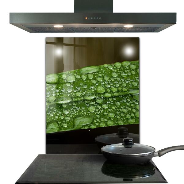 Keuken achterwand glas Een groen blad na de regen