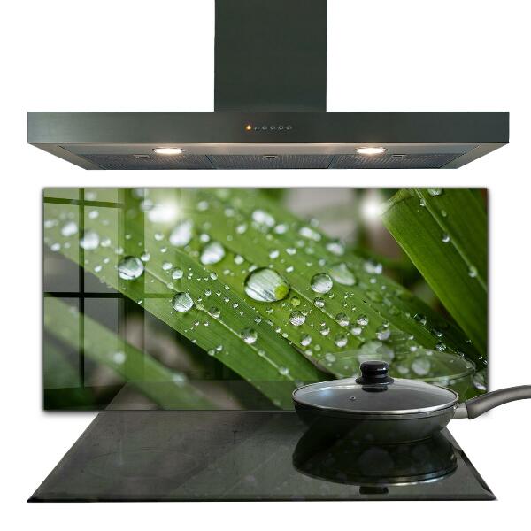 Foto achterwand keuken Dauwdruppels op het gras