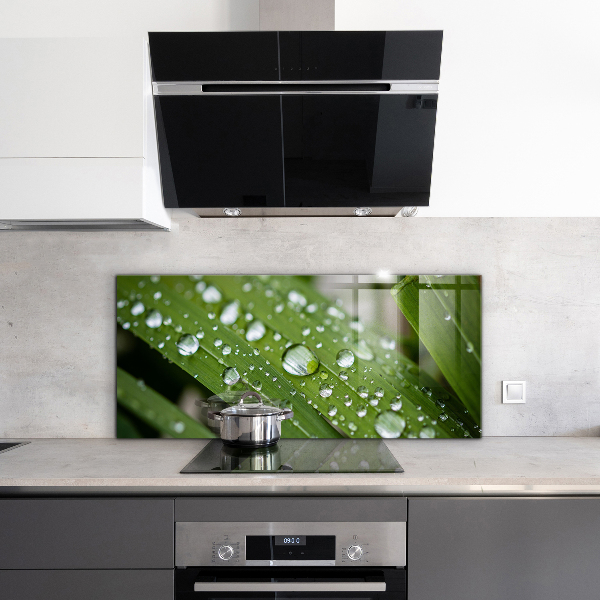 Foto achterwand keuken Dauwdruppels op het gras