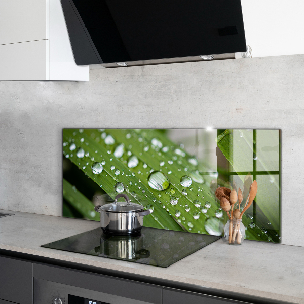 Foto achterwand keuken Dauwdruppels op het gras