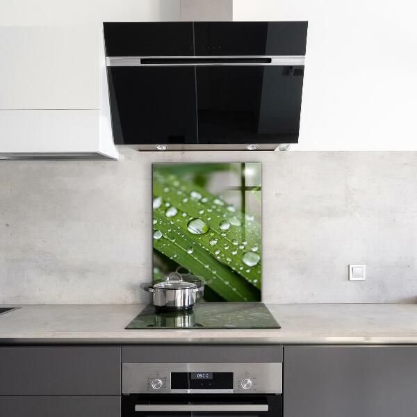 Foto achterwand keuken Dauwdruppels op het gras