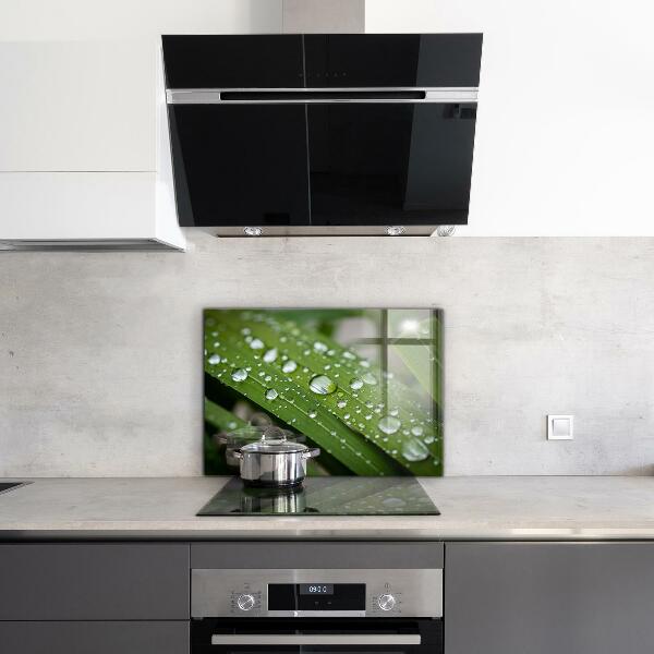 Foto achterwand keuken Dauwdruppels op het gras