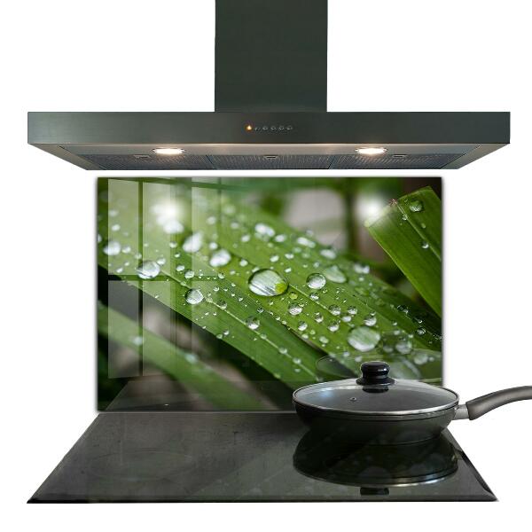 Foto achterwand keuken Dauwdruppels op het gras