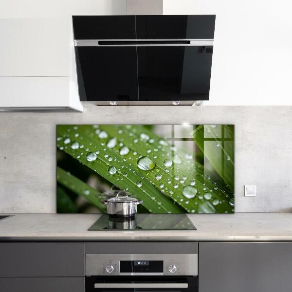 Foto achterwand keuken Dauwdruppels op het gras