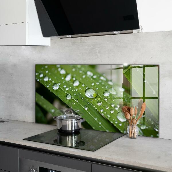 Foto achterwand keuken Dauwdruppels op het gras