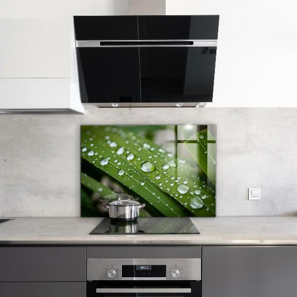 Foto achterwand keuken Dauwdruppels op het gras