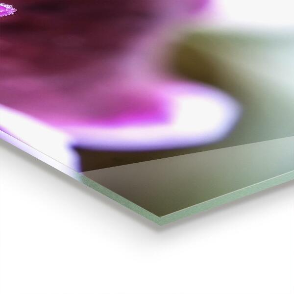 Spatplaat keuken Roze bloemdetails Natuur