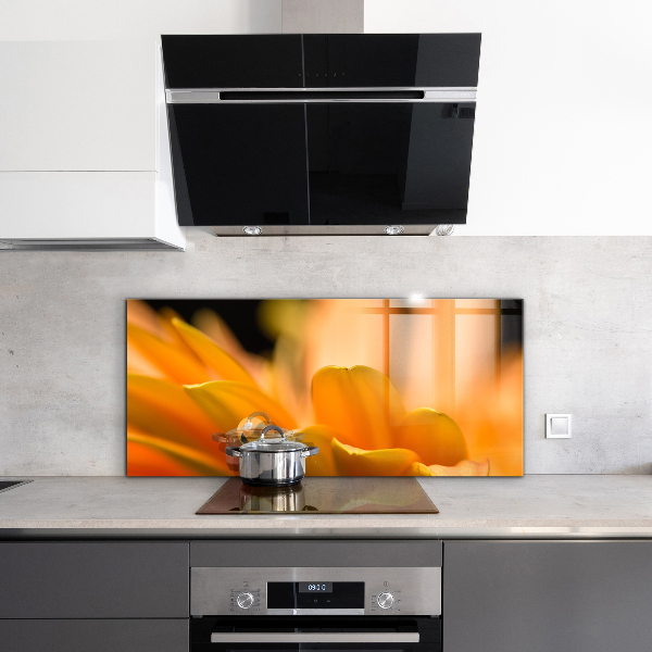 Achterwand keuken Gerbera bloem