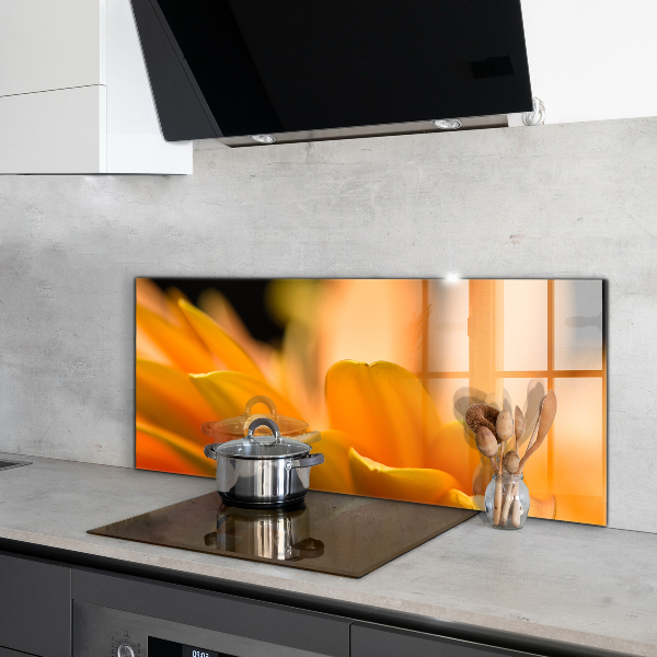 Achterwand keuken Gerbera bloem