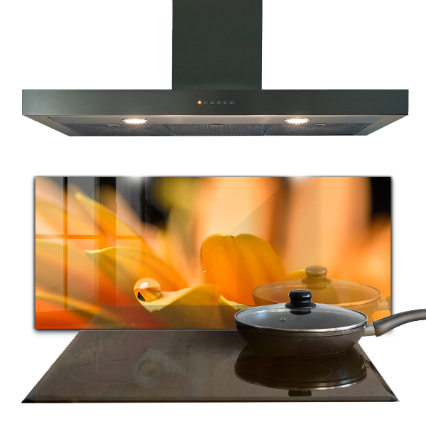 Achterwand keuken Gerbera bloem