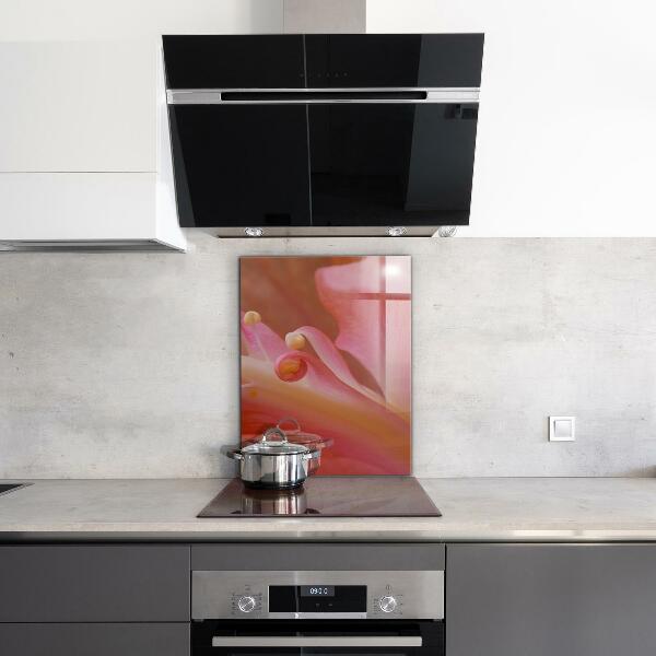 Keuken achterwand glas Bloempollen Natura