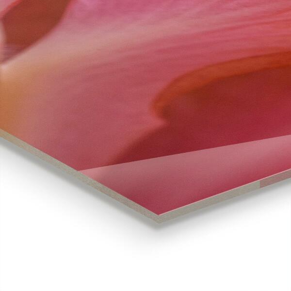 Keuken achterwand glas Bloempollen Natura