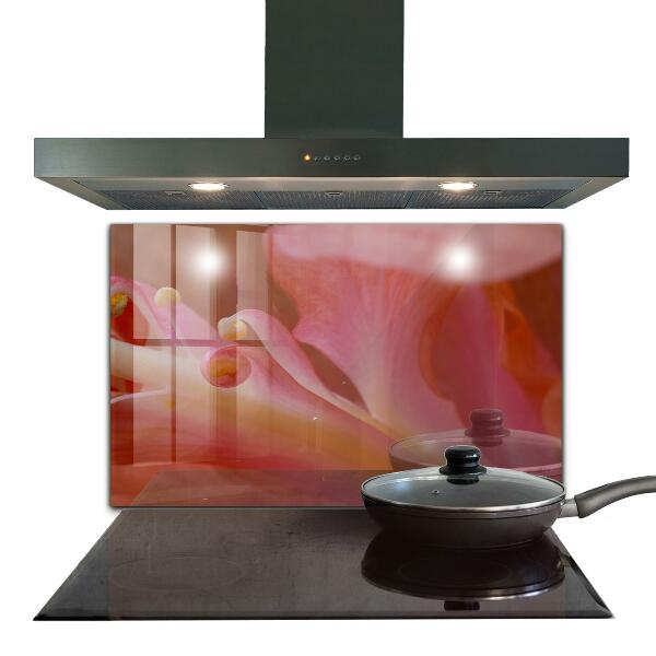 Keuken achterwand glas Bloempollen Natura