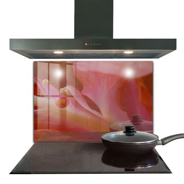 Keuken achterwand glas Bloempollen Natura