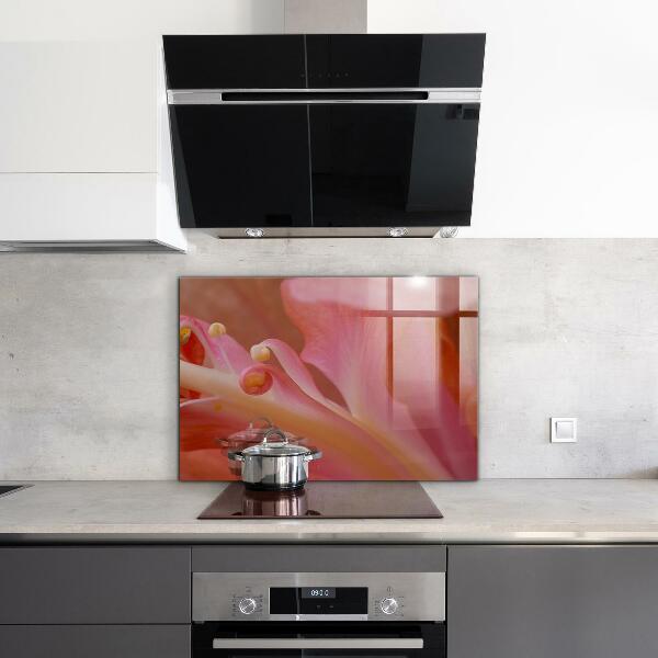 Keuken achterwand glas Bloempollen Natura