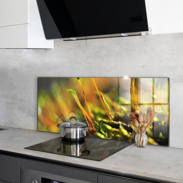 Spatplaat keuken Details over bosmos