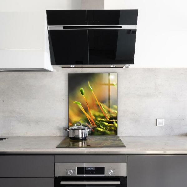 Spatplaat keuken Details over bosmos