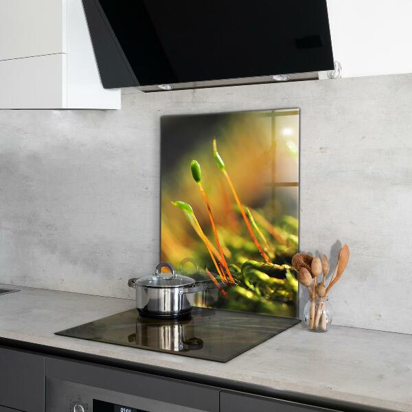 Spatplaat keuken Details over bosmos