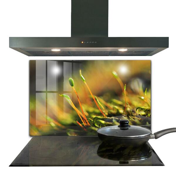 Spatplaat keuken Details over bosmos