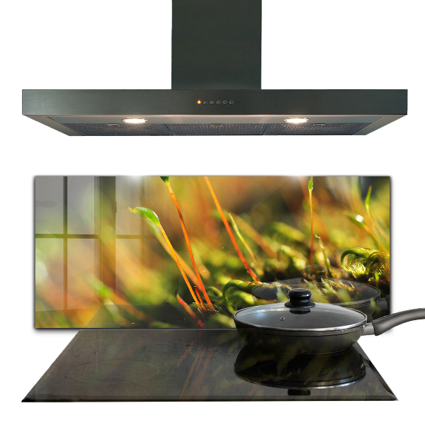 Spatplaat keuken Details over bosmos