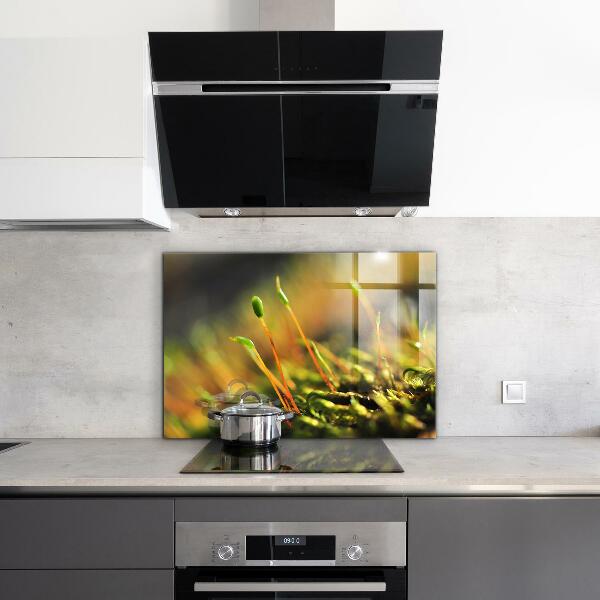 Spatplaat keuken Details over bosmos