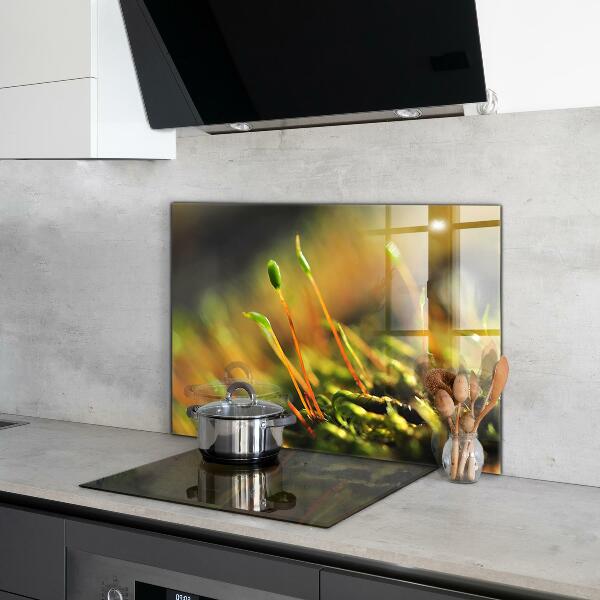 Spatplaat keuken Details over bosmos