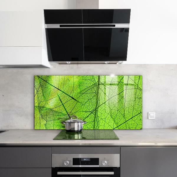 Keuken achterwand glas Groene bladtextuur