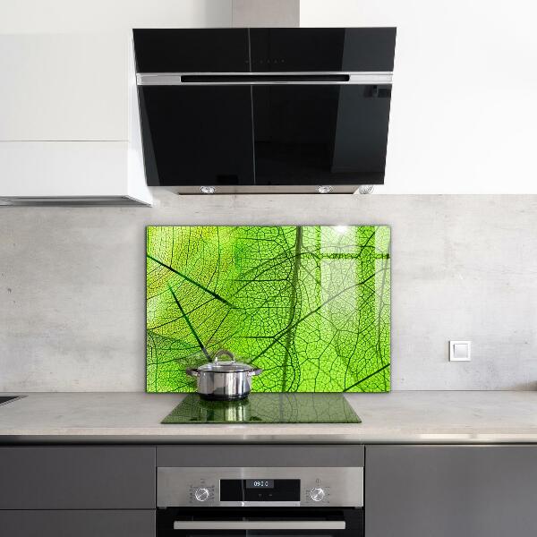 Keuken achterwand glas Groene bladtextuur