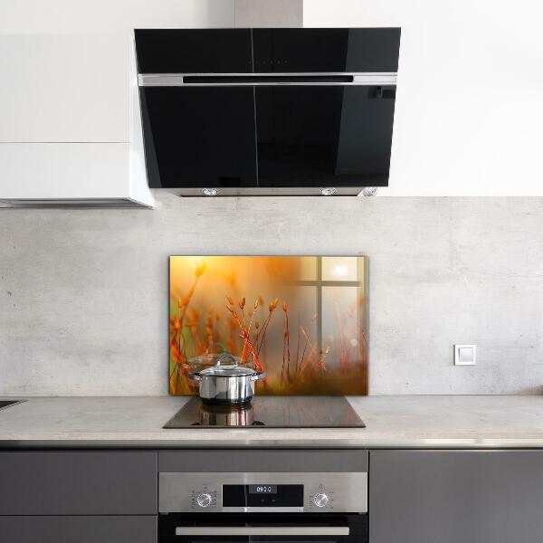 Foto achterwand keuken Graanveld bij zonsondergang